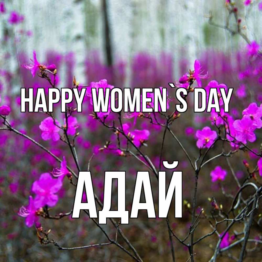 Greetings card с именем, Адай happy women`s day дикие цветы Greetings with text for free download 
